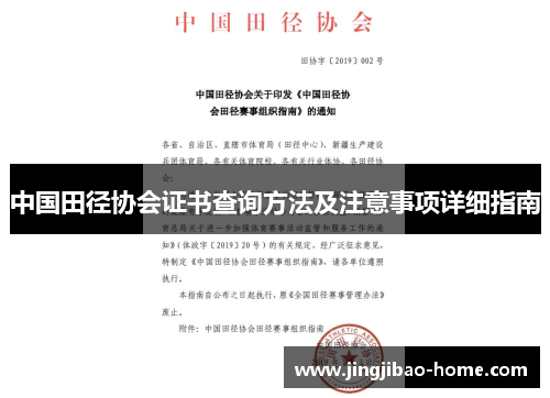 中国田径协会证书查询方法及注意事项详细指南
