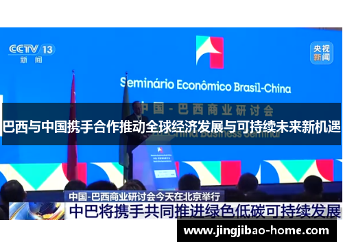 巴西与中国携手合作推动全球经济发展与可持续未来新机遇